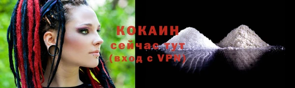 соль ск Видное