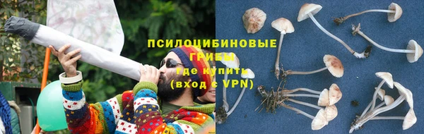 соль ск Видное