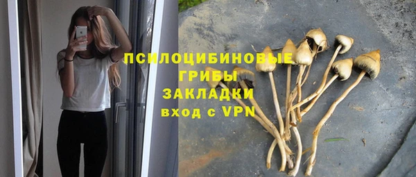 соль ск Видное