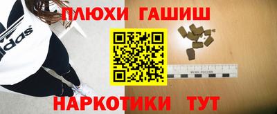 дмт Гатчина