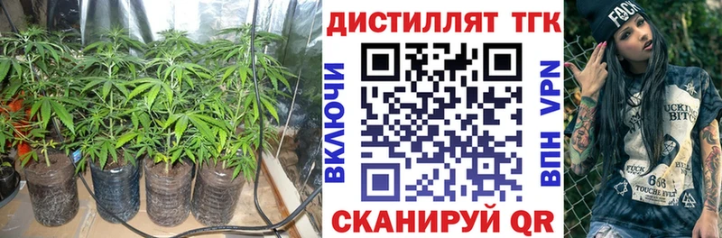 ТГК Wax Заволжье