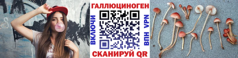 купить наркоту  Заволжье  Псилоцибиновые грибы MAGIC MUSHROOMS 