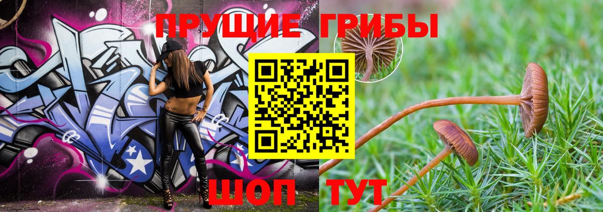 Галлюциногенные грибы прущие грибы  Вход с VPN  Заволжье  Галлюциногенные грибы Psilocybe 