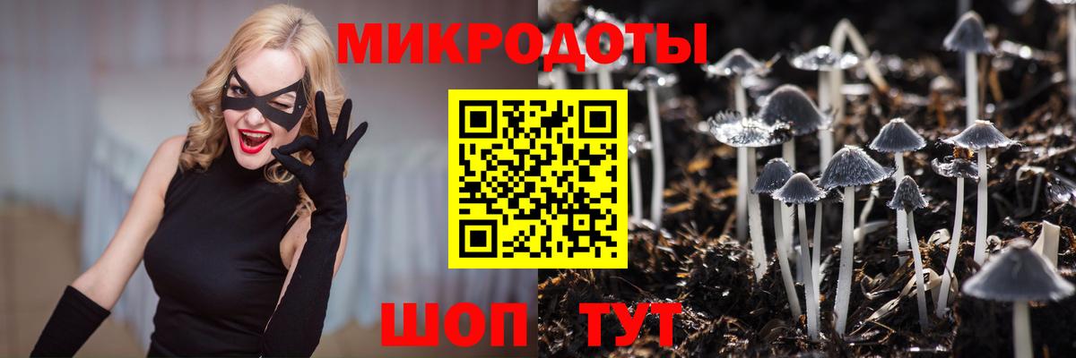Псилоцибиновые грибы GOLDEN TEACHER Заволжье